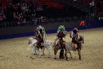 Quadrille - 00257